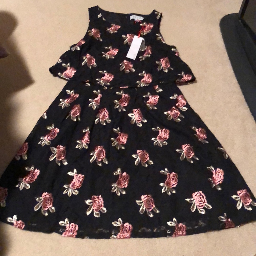 BRAND NEW Elle Rose Embroidered Dress in Size 2